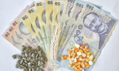 APIA: Peste 25,5 milioane lei au intrat în contul agricultorilor