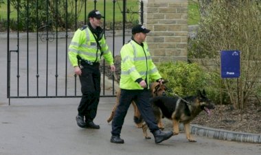 Bărbatul care a omorât o româncă la Londra, condamnat la detenţie pe viaţă