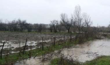 Case inundate și drumuri afectate în urma ploilor căzute în ultimele 12 ore