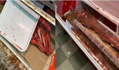 FOTO: Dezastru descoperit de ANPC la o hală din Giurgiu. Aproape o tonă de alimente, oprită de la vânzare