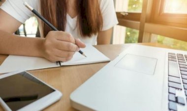 Anisie: Şcoala online devine obligatorie, iar notele pot fi trecute în catalog