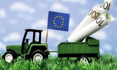 România a solicitat Comisiei Europene rambursări de peste 211 milioane de euro pentru proiectele PNDR 2020