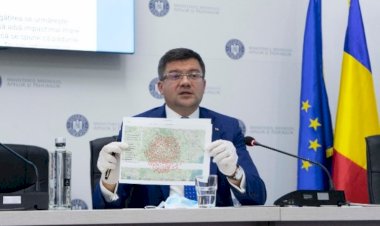 Costel Alexe: În 2020, niciun transport de buștean nu a fost exportat din România pe calea ferată