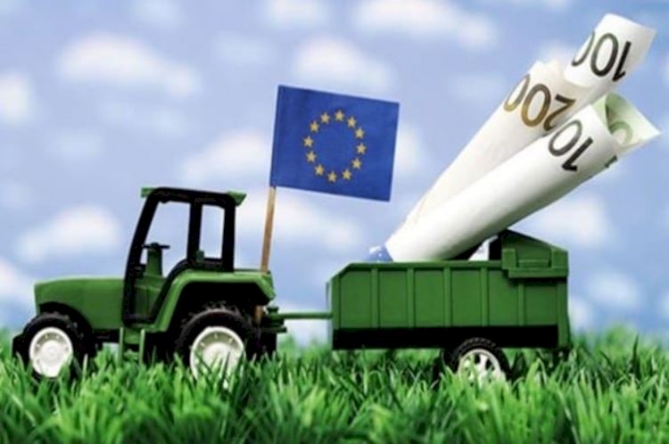 România a solicitat Comisiei Europene rambursări de peste 211 milioane de euro pentru proiectele PNDR 2020