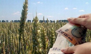 APIA: Cererile unice de plată aferente Campaniei 2020 pot fi depuse online. Nu rata subvenția!