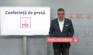Romașcanu: Astăzi avem două aniversări triste. PSD va iniția o moțiune împotriva lui Nelu Tătaru