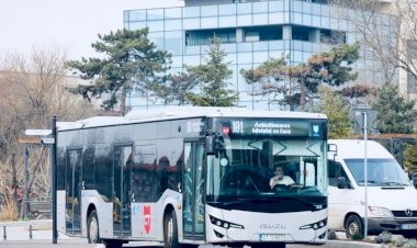 Vergil Chițac: PAGUBĂ ÎN CIUPERCI pentru transportul public gratuit