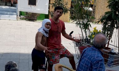Hoții s-au pus pe treabă. Fură ghivece cu flori de pe casa scărilor de bloc și terase din zona Peninsulară a Constanței