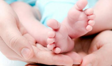 Tinerii se pot înscrie în programul INFANT, pentru fertilizarea in vitro