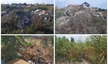 Proprietarii care nu își îngrijesc terenurile vor primi amenzi usturătoare