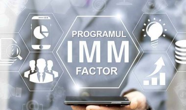 Guvernul a aprobat Programul IMM Factor. Garanţiile de stat pot ajunge până la 5 milioane de lei pe beneficiar