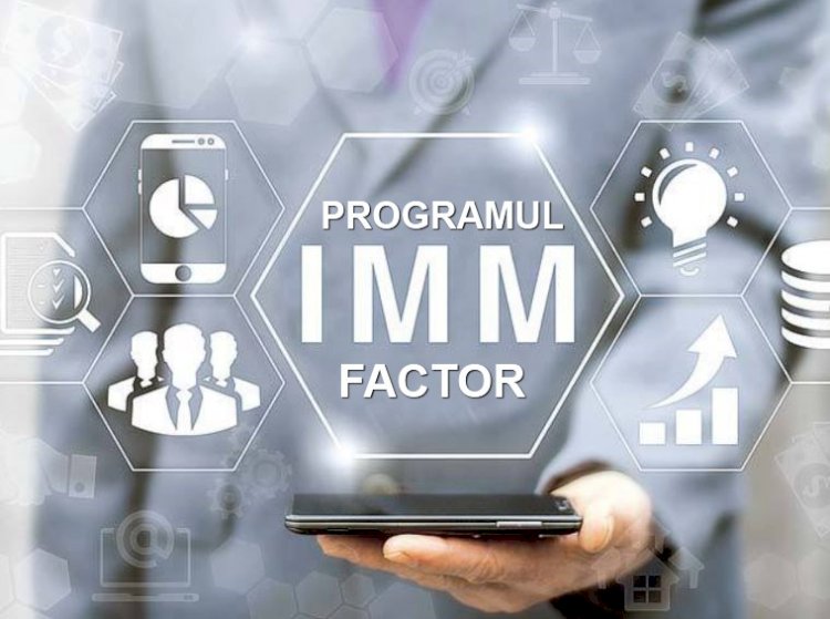 Guvernul a aprobat Programul IMM Factor. Garanţiile de stat pot ajunge până la 5 milioane de lei pe beneficiar