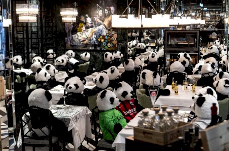 Video: Proprietarul unui restaurant a umplut localul cu urși panda de pluș, pe post de clienți