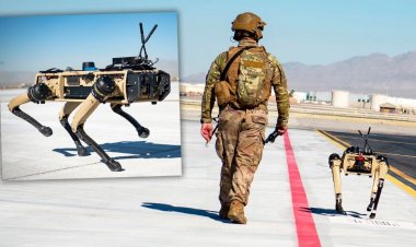 Bazele militare ale Forţelor Aeriene ale SUA vor fi păzite de câini-roboţi