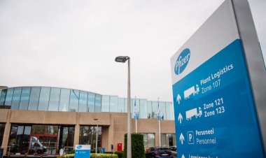 Pfizer face concedieri în Belgia şi transferă o parte dintre activităţi în România