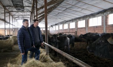 Ciolacu: Unii oameni care muncesc din greu, trebuie să beneficieze de sprijinul statului român, nu de bețe-n roate!
