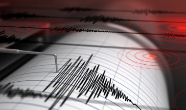 Cutremur cu magnitudinea de 7,2 în nordul Japoniei. Alertă de tsunami
