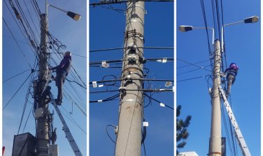Primăria Constanța a cerut operatorilor de comunicații să înceapă etichetarea și cosmetizarea cablurilor din oraș