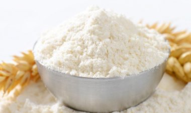 Europenii pot mânca viermi în siguranță! Uniunea Europeană a aprobat utilizarea lor