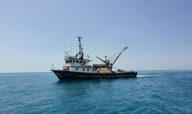 Pescador dat dispărut în Marea Neagră. Trei membri ai echipajului au fost găsiți morți
