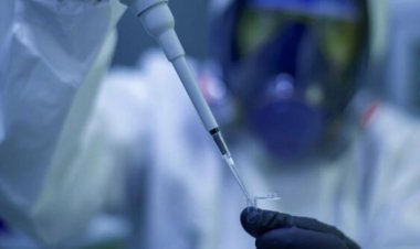 China a raportat primul caz din lume de gripă aviară H10N3 la om