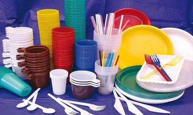 Ordonanța anti-plastic a fost adoptată de Guvern. Ce produse de unică folosință sunt interzise în România