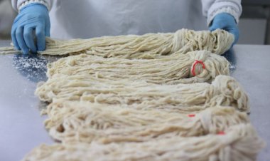 20 de tone de mațe de porc care conțin un antibiotic periculos, reținute în portul Constanța