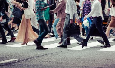 Primăria Constanţa angajează recenzori pentru Recensământul Populaţiei. Condiții minime pentru angajare