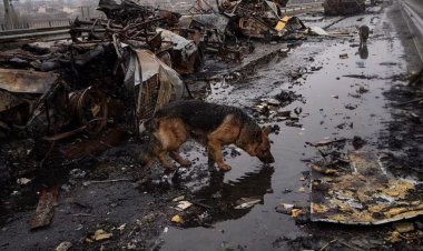 Ucraina ameninţă Rusia cu represalii după masacrul de la Bucea