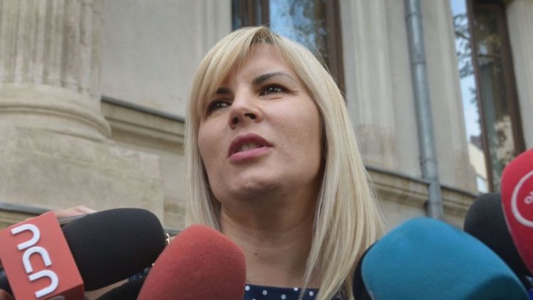 Elena Udrea, nouă acţiune de contestare a sentinţei în dosarul Gala Bute