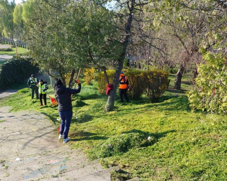 Continuă curățenia de primăvară în municipiul Constanța