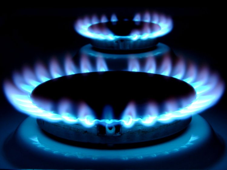România şi alte state membre UE vor un plafon mai scăzut al preţului gazelor naturale