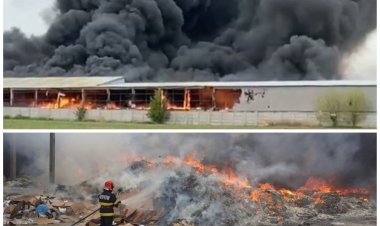 Incendiu puternic la un depozit de deșeuri din Techirghiol