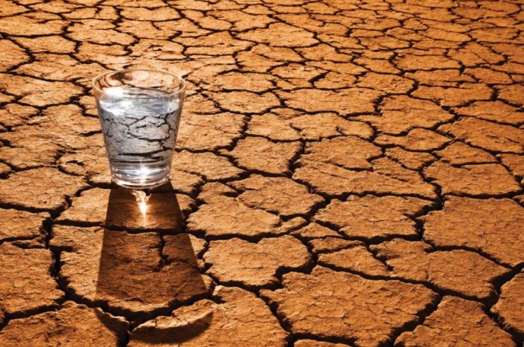 Apele Române: Să folosim rațional resursele de apă