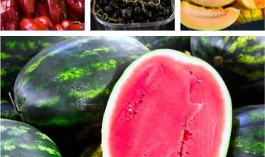 RAEDPP Constanța amenajează o nouă piață volantă în Piața Ovidiu