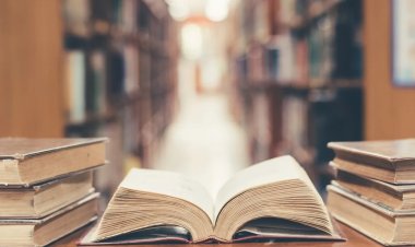 Ciucă promite bani de la buget pentru a promova cărțile autorilor români către elevi