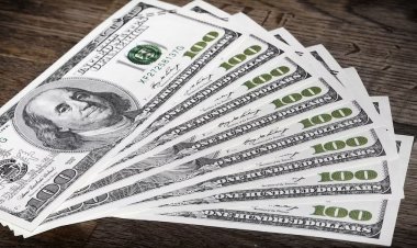 BNR a anunțat un nou maxim istoric pentru dolar, de 5,13 lei