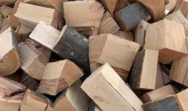 Guvernul a aprobat plafonarea la 400 lei a preţului pe metrul cub de lemn de foc