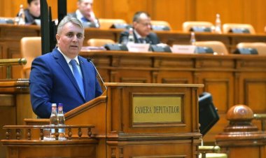 Lucian Bode, despre acuzaţiile de plagiat: Demersul USR - penibil, plin de minciuni