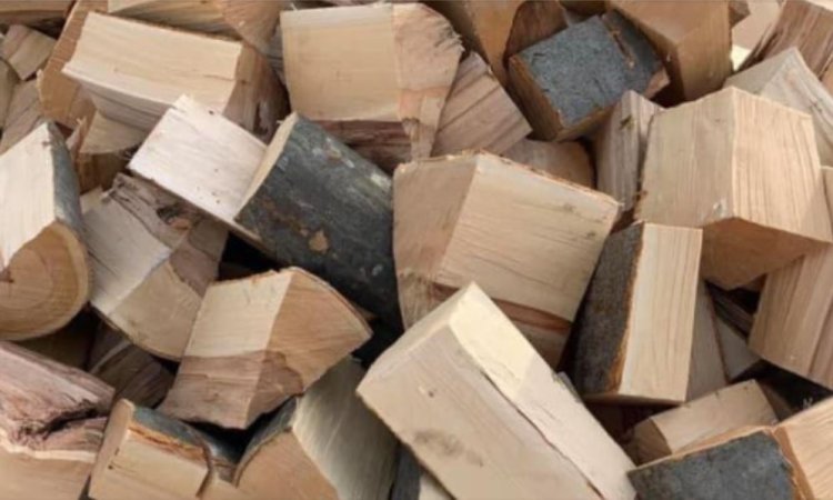 Guvernul a aprobat plafonarea la 400 lei a preţului pe metrul cub de lemn de foc