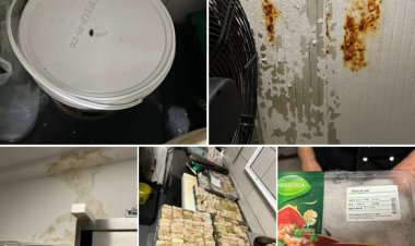 Gândaci și produse expirate la restaurantul Delfinul din Constanța