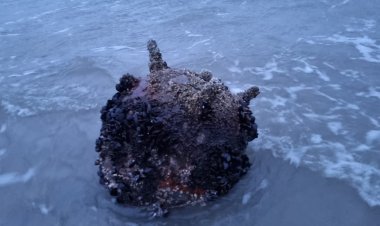 Mina marină găsită pe plaja de la Sfântu Gheorghe a fost neutralizată
