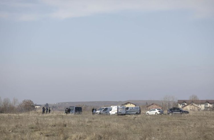 O femeie a fost sfâșiată de o haită de câini