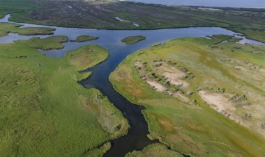 Ciucă, despre canalul Bâstroe: Există informaţii că s-a dragat mai mult decât s-a convenit