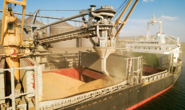 Kievul anunță că va da în judecată trei țări vecine din cauza restricţiilor impuse la importurile de cereale ucrainene