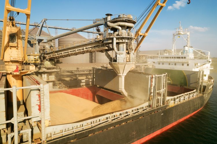 Daea: Cerealele importate din Ucraina respectă parametrii de calitate
