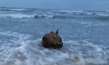 Pescuitul și turismul din România sunt în pericol, din cauza minelor din Marea Neagră