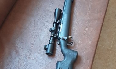 Tatăl copilului care a intrat cu o armă tip airsoft în curtea şcolii, amendat cu 5.000 de lei