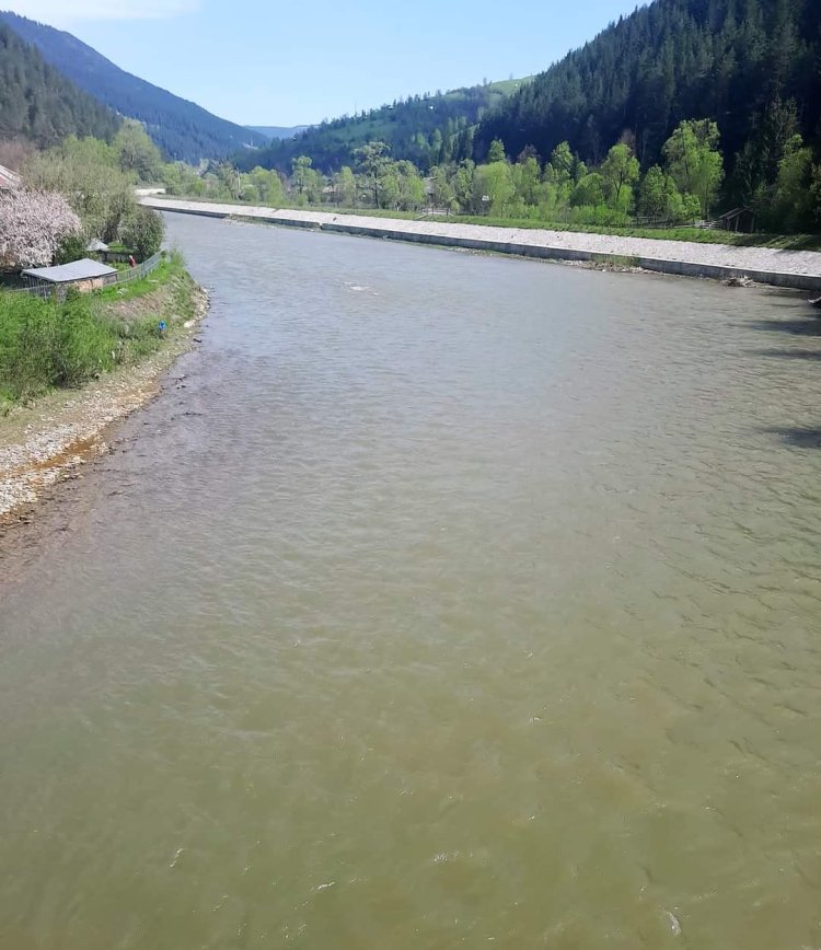 Poluarea de pe râul Bistriţa este în descreștere
