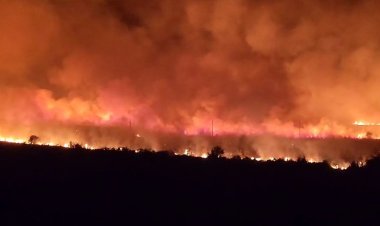 FOTO - VIDEO Incendiu de vegetație uscată la Poarta Albă